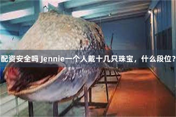 配资安全吗 Jennie一个人戴十几只珠宝，什么段位？