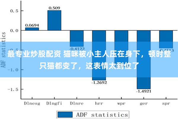 最专业炒股配资 猫咪被小主人压在身下，顿时整只猫都变了，这表情太到位了