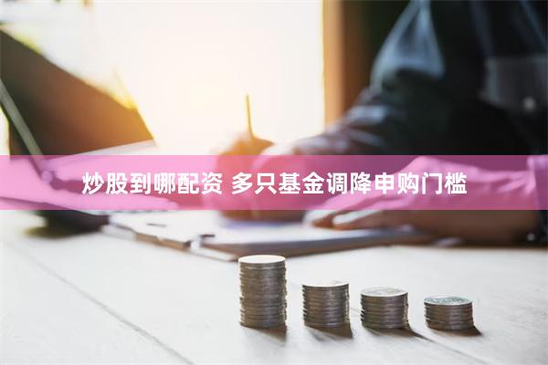 炒股到哪配资 多只基金调降申购门槛