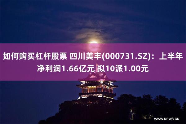 如何购买杠杆股票 四川美丰(000731.SZ)：上半年净利润1.66亿元 拟10派1.00元