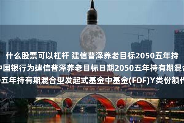 什么股票可以杠杆 建信普泽养老目标2050五年持有(FO