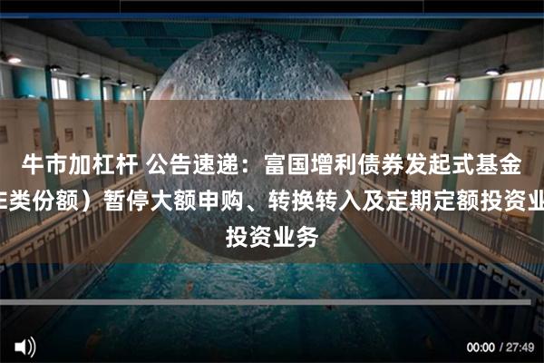 牛市加杠杆 公告速递：富国增利债券发起式基金（E类份额）暂停大额申购、转换转入及定期定额投资业务