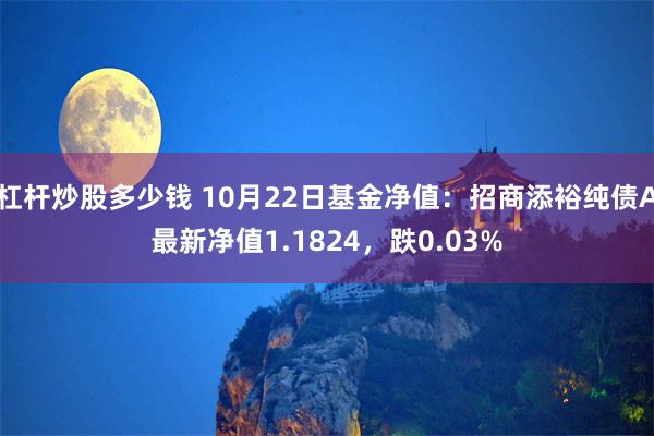 杠杆炒股多少钱 10月22日基金净值：招商添裕纯债A最新