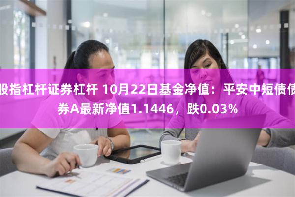 股指杠杆证券杠杆 10月22日基金净值：平安中短债债券A