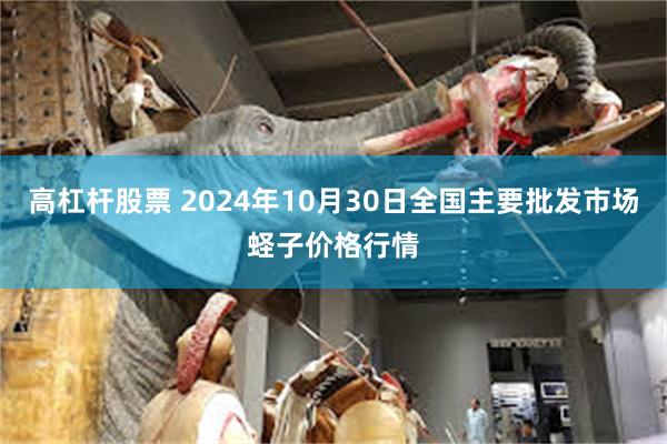 高杠杆股票 2024年10月30日全国主要批发市场蛏子价