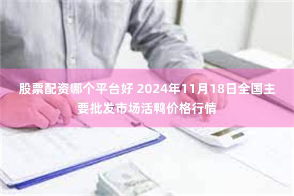 股票配资哪个平台好 2024年11月18日全国主要批发市