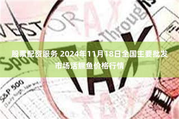 股票配资服务 2024年11月18日全国主要批发市场活鳜鱼价格行情