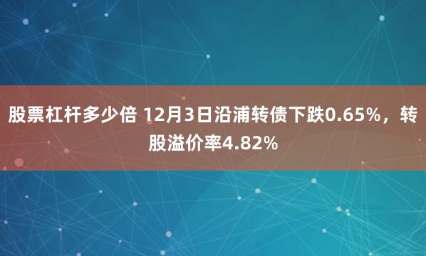 股票杠杆多少倍 12月3日沿浦转债下跌0.65%，转股溢价率4.82%