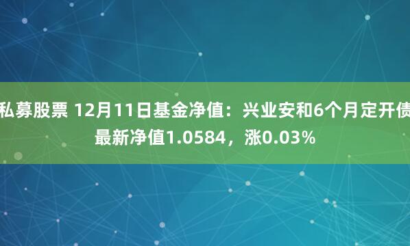 私募股票 12月11日基金净值：兴业安和6个月定开债最新净值1.0584，涨0.03%