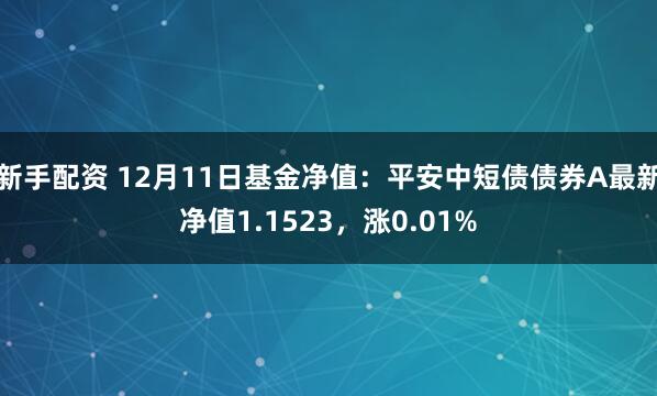 新手配资 12月11日基金净值：平安中短债债券A最新净值1.1523，涨0.01%