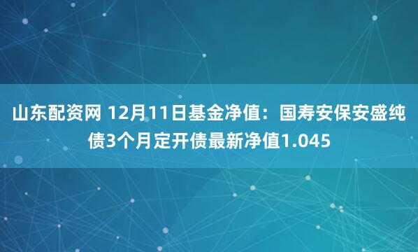 山东配资网 12月11日基金净值：国寿安保安盛纯债3个月定开债最新净值1.045