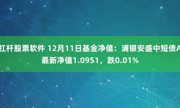 杠杆股票软件 12月11日基金净值：浦银安盛中短债A最新净值1.0951，跌0.01%