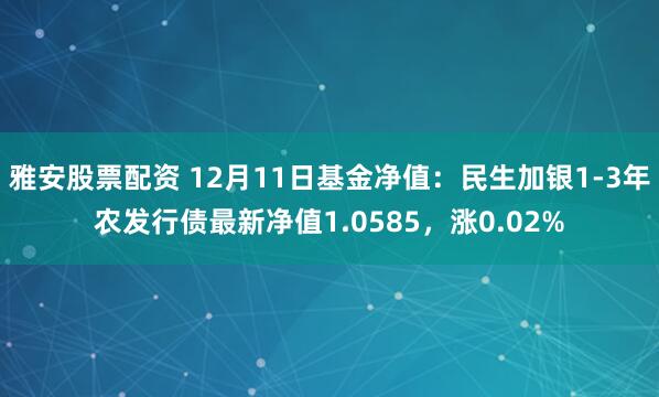 雅安股票配资 12月11日基金净值：民生加银1-3年农发行债最新净值1.0585，涨0.02%