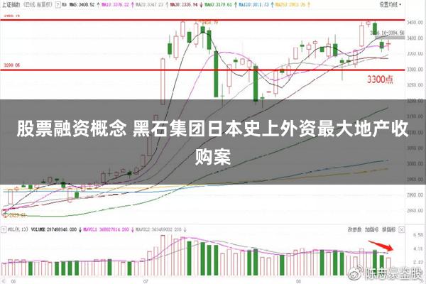 股票融资概念 黑石集团日本史上外资最大地产收购案