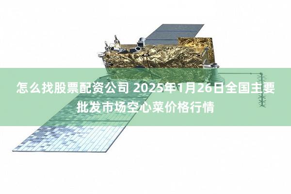 怎么找股票配资公司 2025年1月26日全国主要批发市场空心菜价格行情