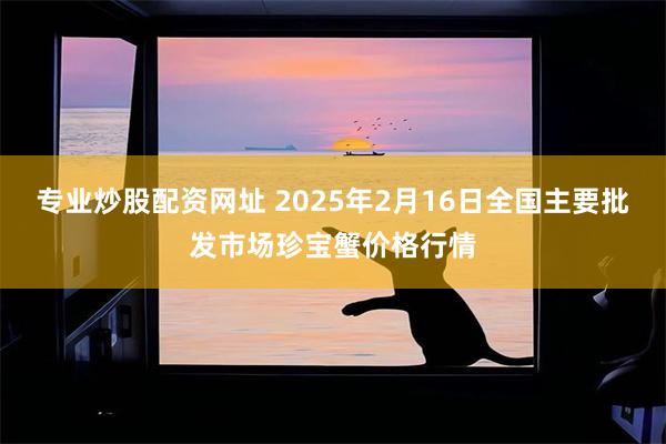 专业炒股配资网址 2025年2月16日全国主要批发市场珍宝蟹价格行情