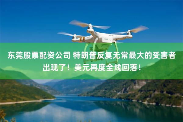 东莞股票配资公司 特朗普反复无常最大的受害者出现了！美元再度全线回落！