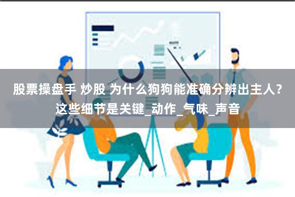 股票操盘手 炒股 为什么狗狗能准确分辨出主人?这些细节是关键_动作_气味_声音