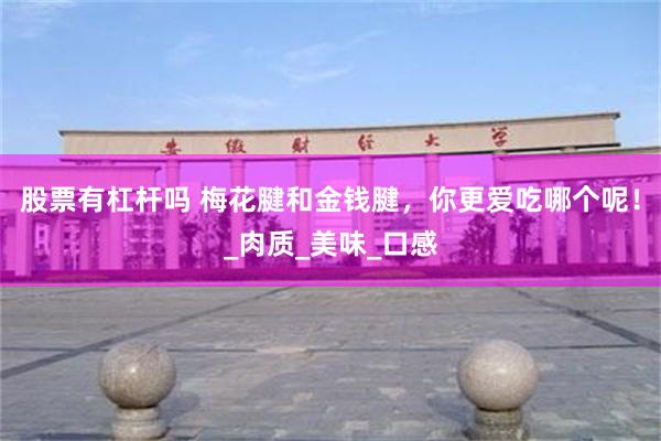 股票有杠杆吗 梅花腱和金钱腱,你更爱吃哪个呢!_肉质_美味_口感