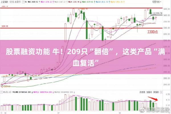 股票融资功能 牛!209只“翻倍”,这类产品“满血复活”