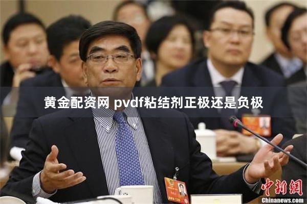黄金配资网 pvdf粘结剂正极还是负极